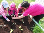 Zahradničíme ve školce